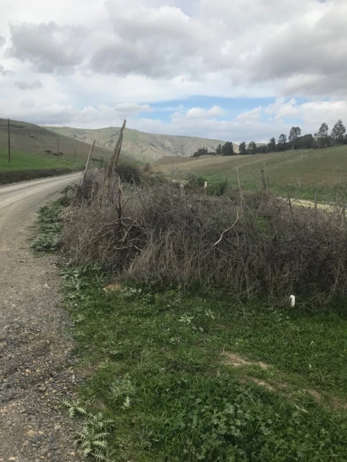 Vente Terrain Agricole Ain defla Hoceinia