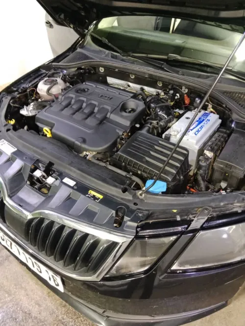 Skoda Octavia 2019 Edition