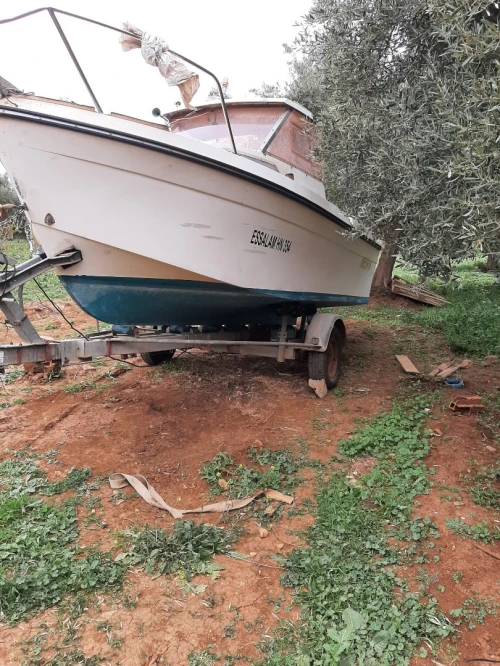 Bateaux jannaut timonier 