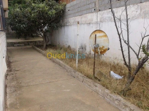 Vente Terrain Skikda Filfla