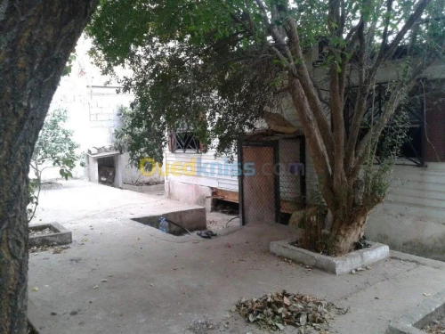 Vente Terrain Skikda Filfla