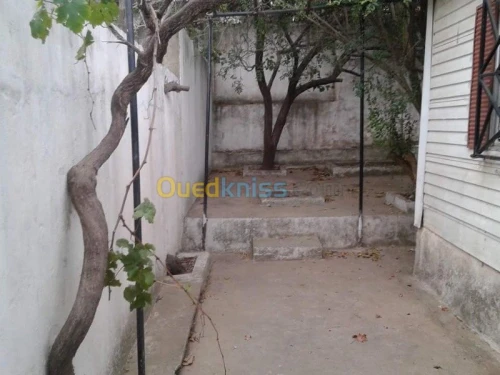 Vente Terrain Skikda Filfla