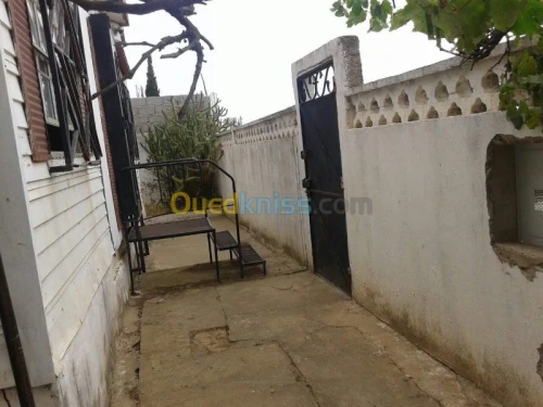 Vente Terrain Skikda Filfla