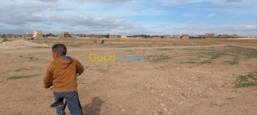 Vente Terrain Setif Guidjel