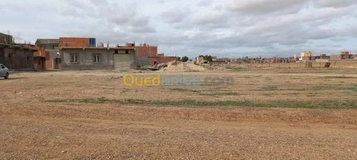 Vente Terrain Setif Guidjel
