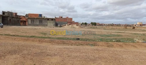 Vente Terrain Setif Guidjel