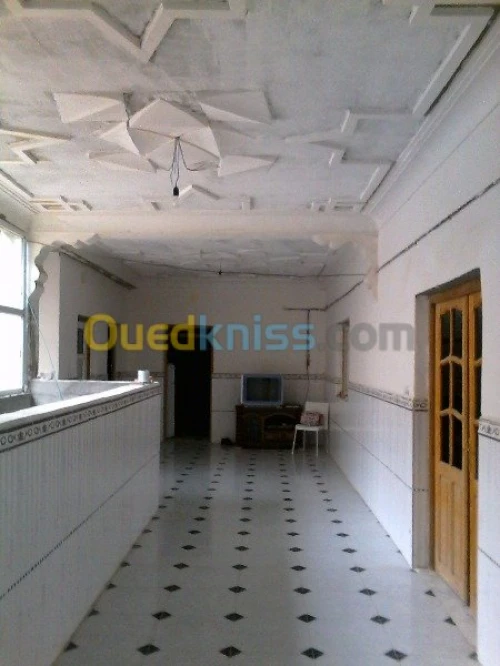 Vente Immeuble Oum el bouaghi Meskiana