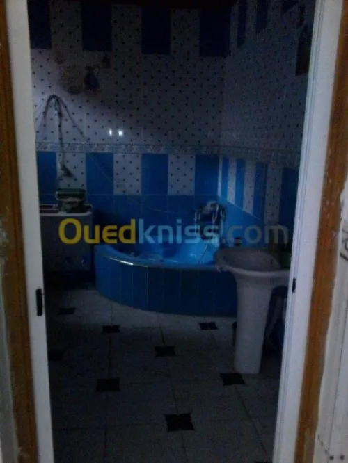 Vente Immeuble Oum el bouaghi Meskiana