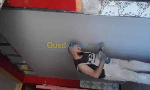 PlaCo Plater PVC Ba13 Electresité