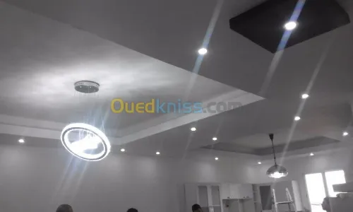 PlaCo Plater PVC Ba13 Electresité