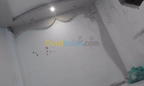 PlaCo Plater PVC Ba13 Electresité