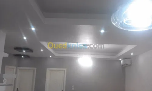 PlaCo Plater PVC Ba13 Electresité