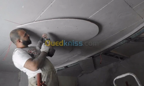 PlaCo Plater PVC Ba13 Electresité