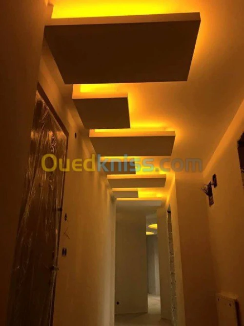 Placo-Plâtre & Peinture 