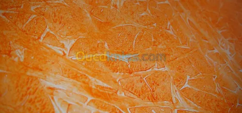 Peinture et décoration  