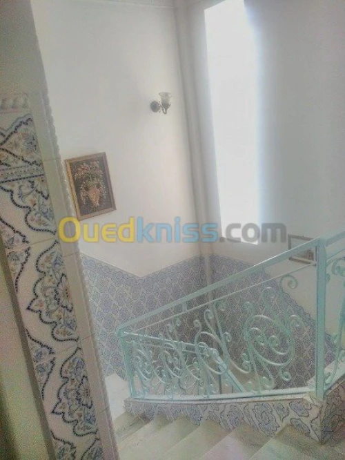 Vente Appartement F5 Chlef Chlef
