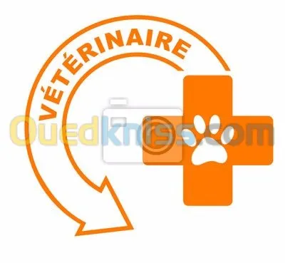 Soin.intervention chirurgical. Vaccins