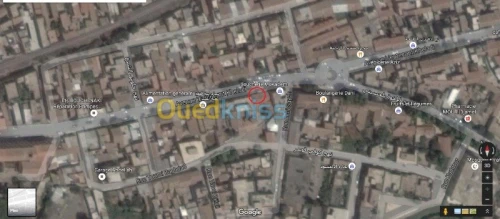 Vente Local Sidi bel abbes Sidi bel abbes
