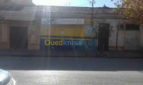 Vente Local Sidi bel abbes Sidi bel abbes