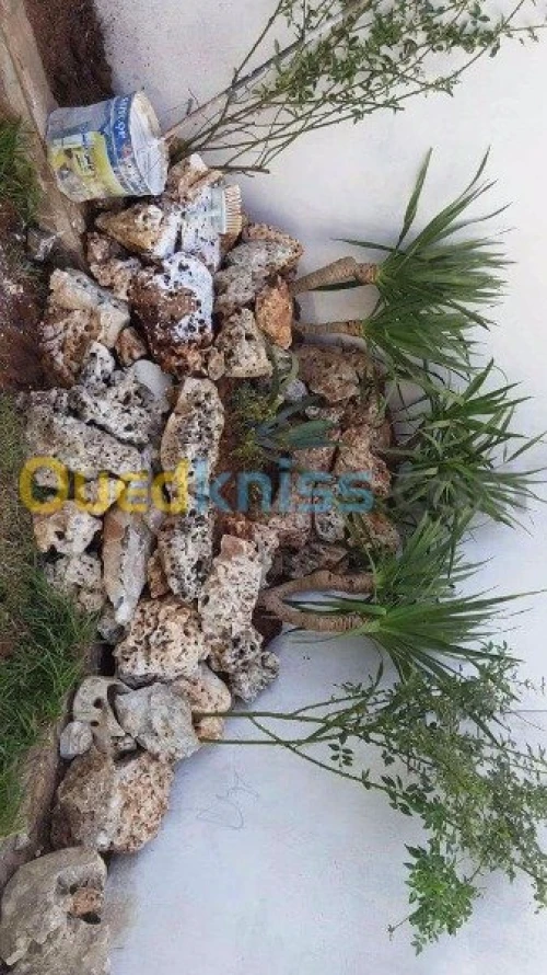 Amenagement des espaces verts 