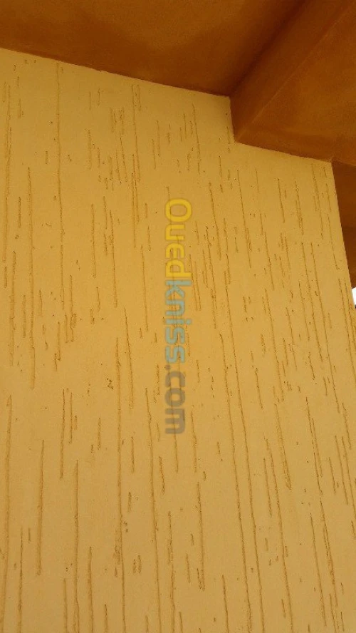 traitement de facade (griffé)