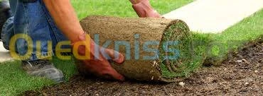 vente gazon naturel 
