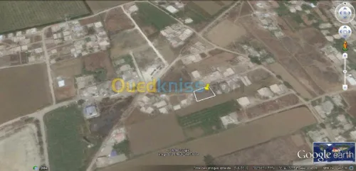 Vente Terrain Blida Meftah
