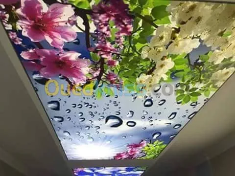 3d دورة تكوينية في مجال الأرضيات