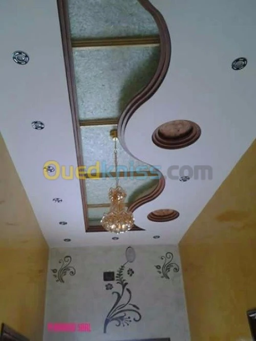  traveau de plâtre décoration