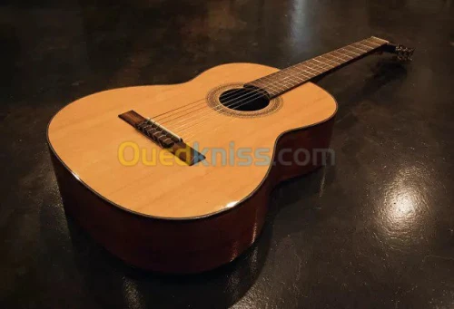 guitare fender classique