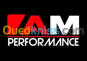 AM PERFORMANCE