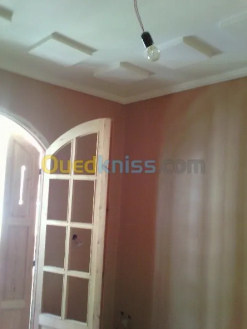 Peintre & placoplatre