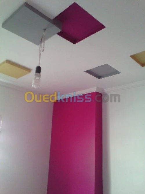 Peintre & placoplatre