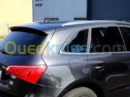 Vitrage surteinté et fumé d'origine