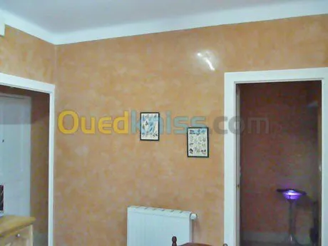 pienture et décortation 