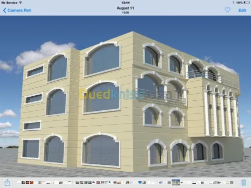 Industrial investment advisor algeria