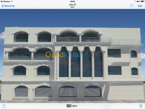 Industrial investment advisor algeria