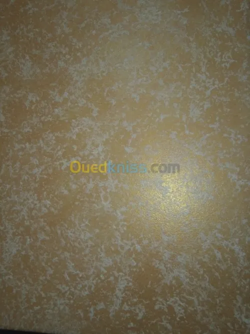  maçonnerie peinture tous travaux intérieure