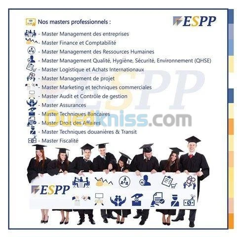 Master Professionnel
