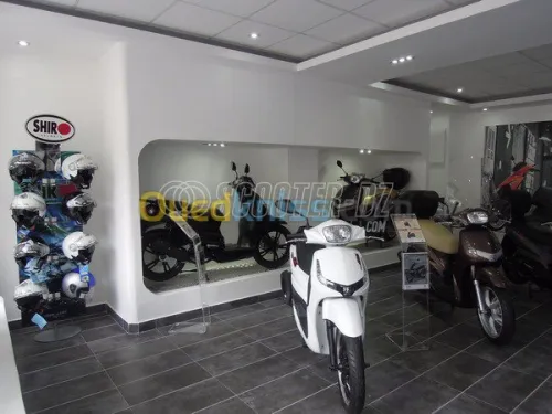 Amenagement & décoration des magasins