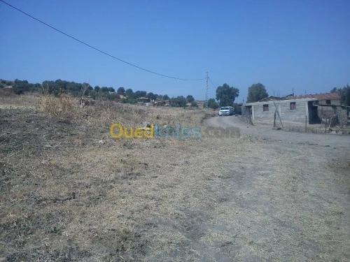 Vente Terrain Tizi ouzou Bounouh