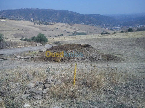 Vente Terrain Tizi ouzou Bounouh