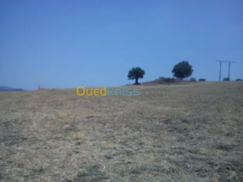 Vente Terrain Tizi ouzou Bounouh