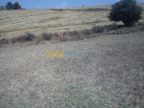 Vente Terrain Tizi ouzou Bounouh