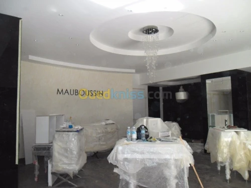 Décoration intérieure ...feux plafond 