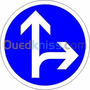 Monitrice de code et de conduite 