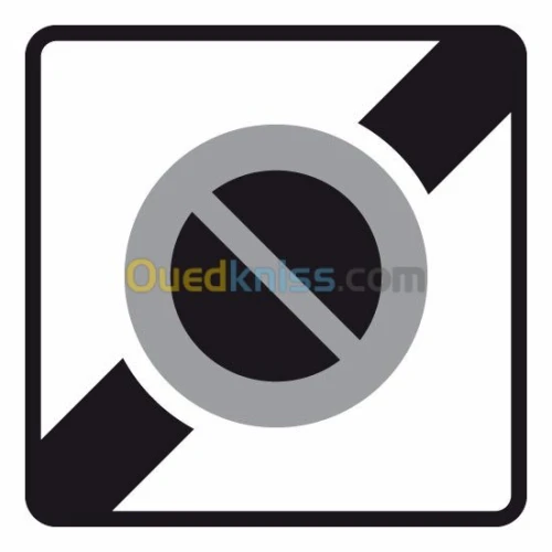 Monitrice de code et de conduite 