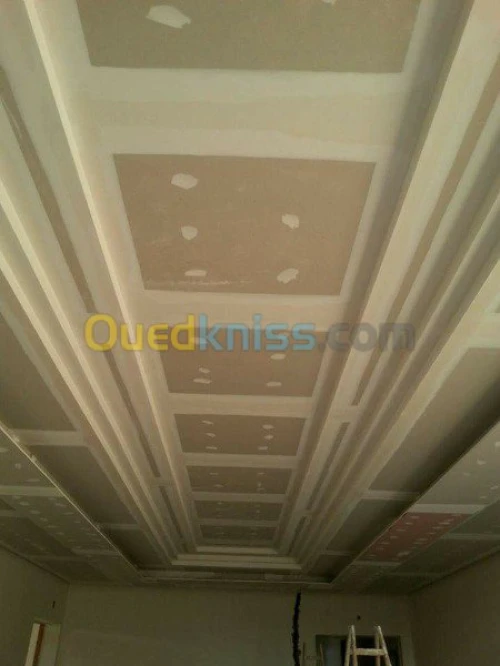 Placo-plâtre constantine