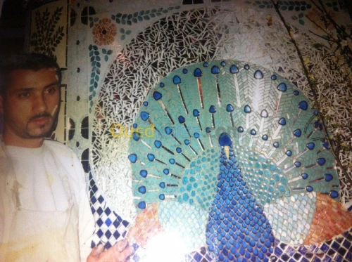 Mosaïque professionnel