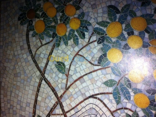Mosaïque professionnel